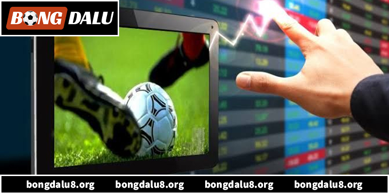 Khám phá về Link vào bongdalu không bị chặn